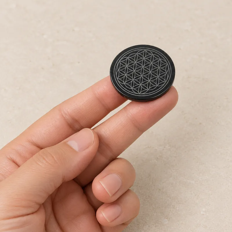 Disco circolare lucidato in shungite – in mano